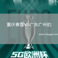 重庆春蕾VS广东广州豹